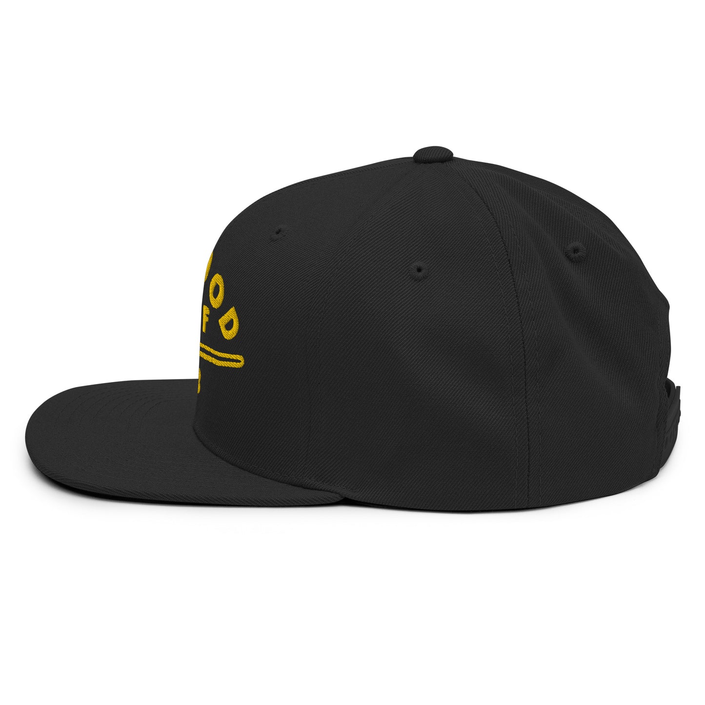 Surfboard Snapback Hat